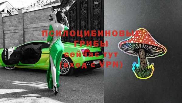 стафф Бронницы