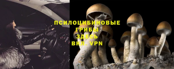 стафф Бронницы