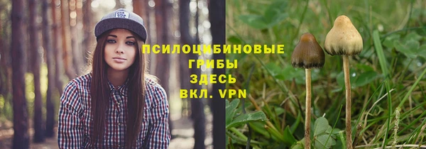 стафф Бронницы