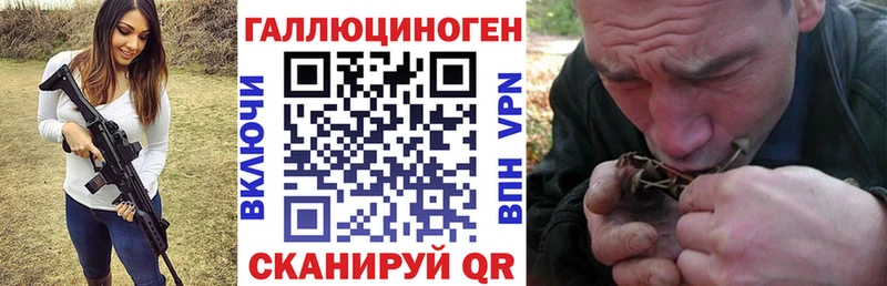 купить наркотик  Курган  Псилоцибиновые грибы Magic Shrooms 